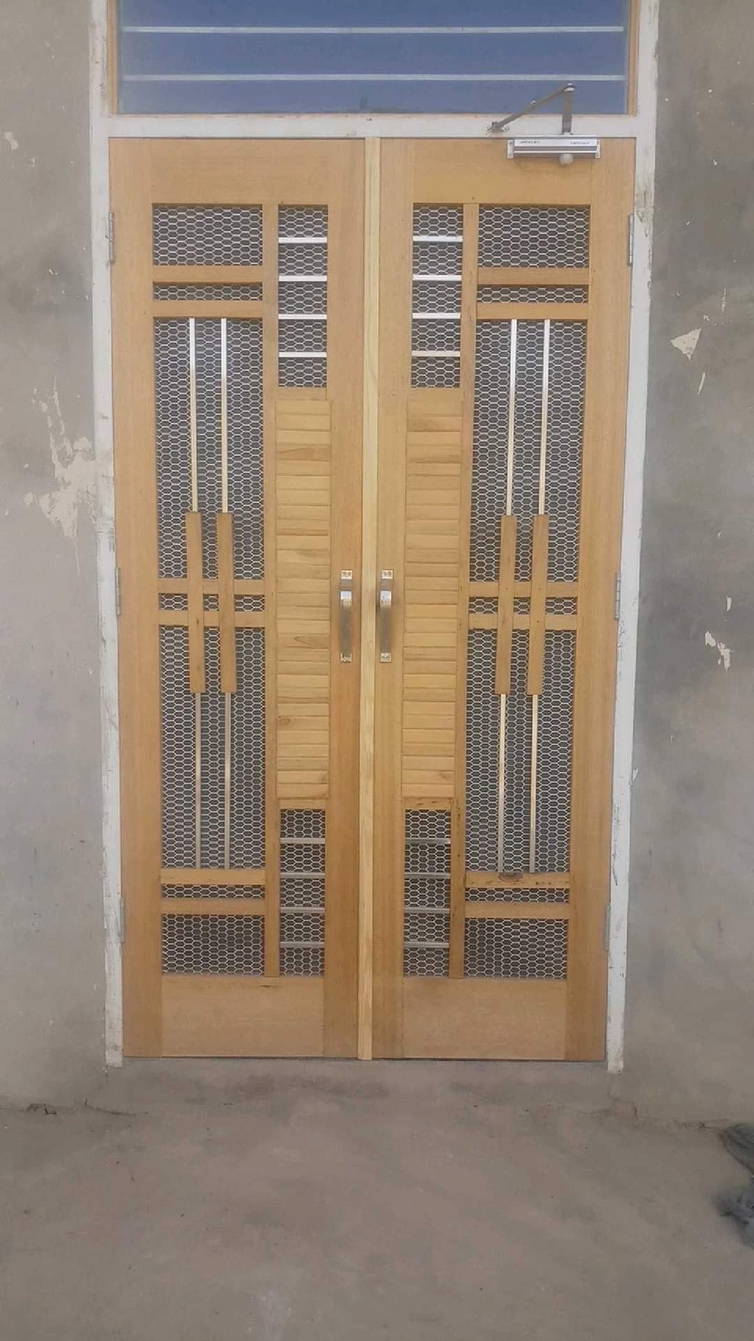 Doors Design udaipur